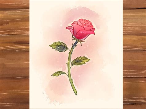 dibujo de una rosa